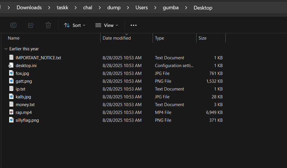 Victim desktop files